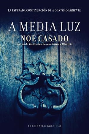 A MEDIA LUZ | 9788415952961 | CASADO, NOE | Llibreria La Font de Mimir - Llibreria online Barcelona - Comprar llibres català i castellà