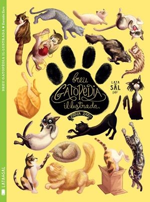 BREU GATOPÈDIA IL·LUSTRADA | 9788494469886 | ZARO SOTO, ZORAIDA | Llibreria La Font de Mimir - Llibreria online Barcelona - Comprar llibres català i castellà