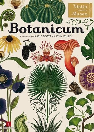 BOTANICUM | 9788416542437 | WILLIS, KATHY | Llibreria La Font de Mimir - Llibreria online Barcelona - Comprar llibres català i castellà