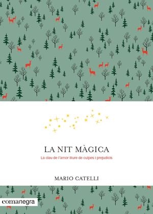 LA NIT MÀGICA | 9788416605552 | CATELLI, MARIO | Llibreria La Font de Mimir - Llibreria online Barcelona - Comprar llibres català i castellà