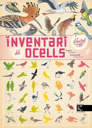 INVENTARI IL.LUSTRAT DELS OCELLS | 9788416721054 | ALADJIDI, VIRGINIE | Llibreria La Font de Mimir - Llibreria online Barcelona - Comprar llibres català i castellà