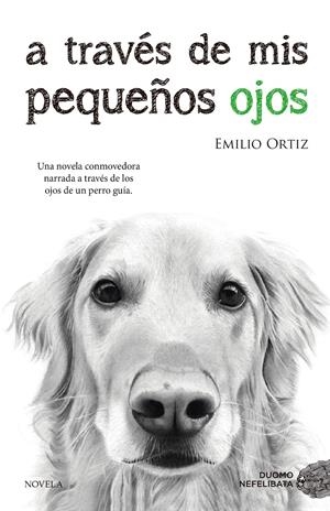 A TRAVÉS DE MIS PEQUEÑOS OJOS | 9788416634682 | ORTIZ PULIDO, EMILIO | Llibreria La Font de Mimir - Llibreria online Barcelona - Comprar llibres català i castellà