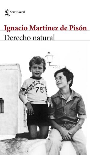 DERECHO NATURAL | 9788432232220 | IGNACIO MARTÍNEZ DE PISÓN | Llibreria La Font de Mimir - Llibreria online Barcelona - Comprar llibres català i castellà