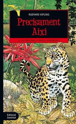 PRECISAMENT AIXÍ | 9788426144539 | KIPLING, RUDYARD | Llibreria La Font de Mimir - Llibreria online Barcelona - Comprar llibres català i castellà