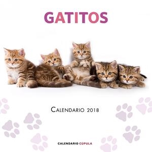 CALENDARIO GATITOS 2018 | 9788448023454 | AA. VV. | Llibreria La Font de Mimir - Llibreria online Barcelona - Comprar llibres català i castellà
