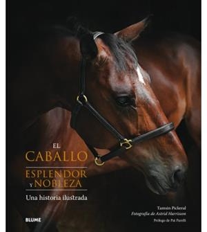 EL CABALLO. ESPLENDOR Y NOBLEZA | 9788417254445 | PICKERAL, TAMSIN/HARRISSON, ASTRID | Llibreria La Font de Mimir - Llibreria online Barcelona - Comprar llibres català i castellà