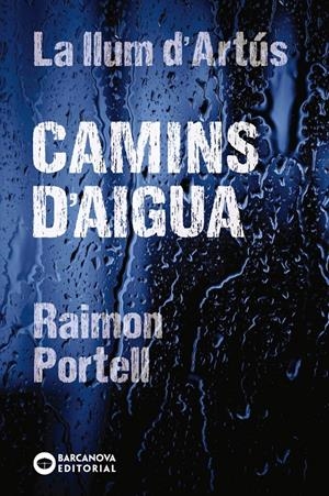 CAMINS D'AIGUA | 9788448942144 | PORTELL, RAIMON | Llibreria La Font de Mimir - Llibreria online Barcelona - Comprar llibres català i castellà