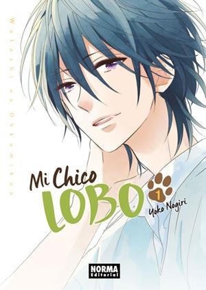 MI CHICO LOBO 02 | 9788467930511 | YOKO NOGIRI | Llibreria La Font de Mimir - Llibreria online Barcelona - Comprar llibres català i castellà