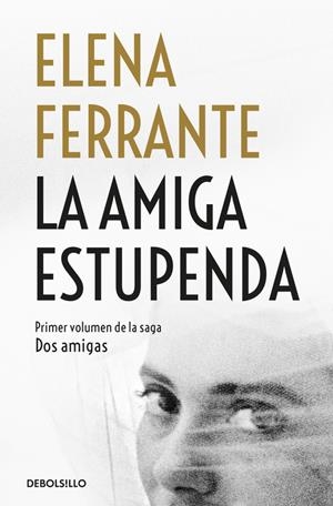 LA AMIGA ESTUPENDA (DOS AMIGAS 1) | 9788466344357 | FERRANTE, ELENA | Llibreria La Font de Mimir - Llibreria online Barcelona - Comprar llibres català i castellà