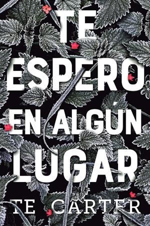 TE ESPERO EN ALGÚN LUGAR | 9788494811319 | T.E. CARTER | Llibreria La Font de Mimir - Llibreria online Barcelona - Comprar llibres català i castellà