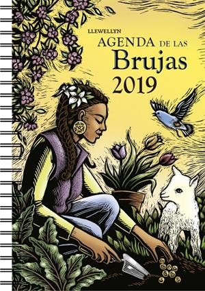 AGENDA 2019 DE LAS BRUJAS | 9788491113652 | LLEWELLYN | Llibreria La Font de Mimir - Llibreria online Barcelona - Comprar llibres català i castellà
