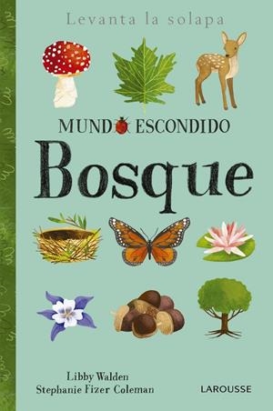 MUNDO ESCONDIDO. BOSQUE | 9788416984862 | LAROUSSE EDITORIAL | Llibreria La Font de Mimir - Llibreria online Barcelona - Comprar llibres català i castellà