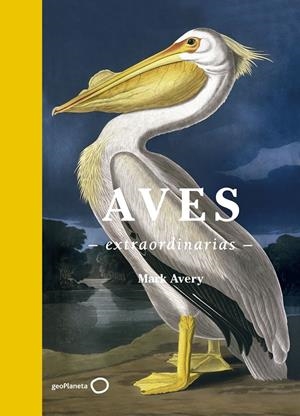 AVES EXTRAORDINARIAS | 9788408181477 | AVERY, MARK | Llibreria La Font de Mimir - Llibreria online Barcelona - Comprar llibres català i castellà