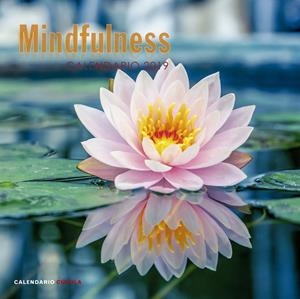 CALENDARIO MINDFULNESS 2019 | 9788448024598 | AA. VV. | Llibreria La Font de Mimir - Llibreria online Barcelona - Comprar llibres català i castellà