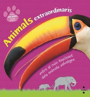 C-ANIMALS EXTRAORDINARIS | 9788466145138 | DORLING KINDERSLEY , EQUIPO EDITORIAL | Llibreria La Font de Mimir - Llibreria online Barcelona - Comprar llibres català i castellà