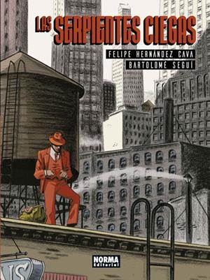 LAS SERPIENTES CIEGAS | 9788467934076 | FELIPE HERNÁNDEZ CAVA / BARTOLOMÉ SEGUÍ | Llibreria La Font de Mimir - Llibreria online Barcelona - Comprar llibres català i castellà