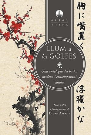 LLUM A LES GOLFES | 9788494906671 | ALCOVER, JOAN/Y OTROS | Llibreria La Font de Mimir - Llibreria online Barcelona - Comprar llibres català i castellà