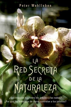 LA RED SECRETA DE LA NATURALEZA | 9788491114192 | WOHLLEBEN, PETER | Llibreria La Font de Mimir - Llibreria online Barcelona - Comprar llibres català i castellà
