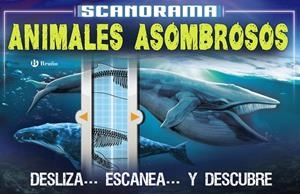SCANORAMA. ANIMALES ASOMBROSOS | 9788469623657 | CLAYBOURNE, ANNA | Llibreria La Font de Mimir - Llibreria online Barcelona - Comprar llibres català i castellà