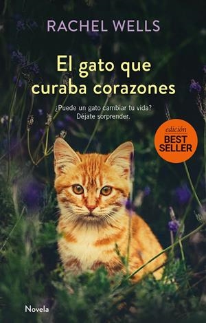 EL GATO QUE CURABA CORAZONES | 9788417128173 | WELLS, RACHEL | Llibreria La Font de Mimir - Llibreria online Barcelona - Comprar llibres català i castellà