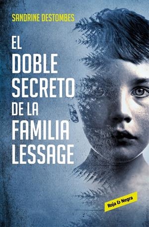 EL DOBLE SECRETO DE LA FAMILIA LESSAGE | 9788417511494 | DESTOMBES, SANDRINE | Llibreria La Font de Mimir - Llibreria online Barcelona - Comprar llibres català i castellà