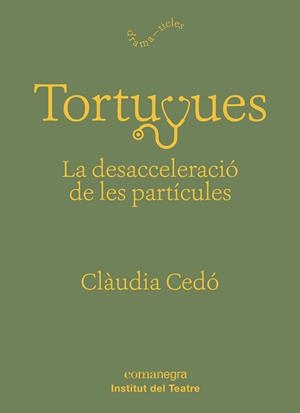 TORTUGUES: LA DESACCELERACIÓ DE LES PARTÍCULES | 9788417188863 | CEDÓ CASTILLO, CLÀUDIA | Llibreria La Font de Mimir - Llibreria online Barcelona - Comprar llibres català i castellà