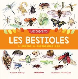 DESCOBREIXO LES BESTIOLES I APRENC A RECONÈIXER-LES | 9788417599201 | ALBOUY, VINCENT | Llibreria La Font de Mimir - Llibreria online Barcelona - Comprar llibres català i castellà