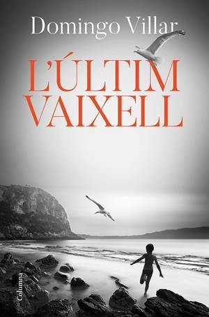 L'ÚLTIM VAIXELL | 9788466425490 | VILLAR, DOMINGO | Llibreria La Font de Mimir - Llibreria online Barcelona - Comprar llibres català i castellà
