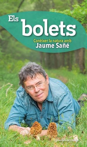 ELS BOLETS | 9788490348598 | SAÑÉ I PONS, JAUME | Llibreria La Font de Mimir - Llibreria online Barcelona - Comprar llibres català i castellà