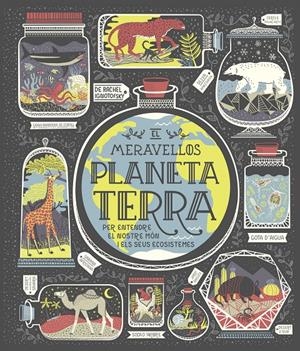 EL MERAVELLÓS PLANETA TERRA | 9788491378778 | IGNOTOFSKY, RACHEL | Llibreria La Font de Mimir - Llibreria online Barcelona - Comprar llibres català i castellà