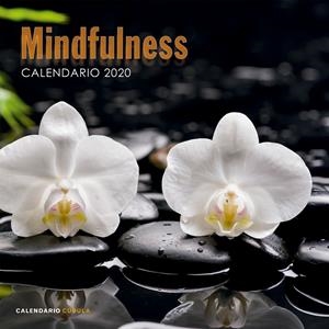 CALENDARIO MINDFULNESS 2020 | 9788448026110 | AA. VV. | Llibreria La Font de Mimir - Llibreria online Barcelona - Comprar llibres català i castellà