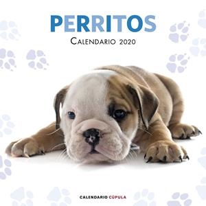 CALENDARIO PERRITOS 2020 | 9788448026158 | AA. VV. | Llibreria La Font de Mimir - Llibreria online Barcelona - Comprar llibres català i castellà