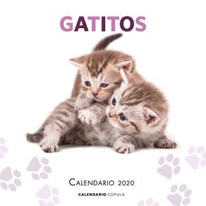 CALENDARIO GATITOS 2020 | 9788448026165 | AA. VV. | Llibreria La Font de Mimir - Llibreria online Barcelona - Comprar llibres català i castellà