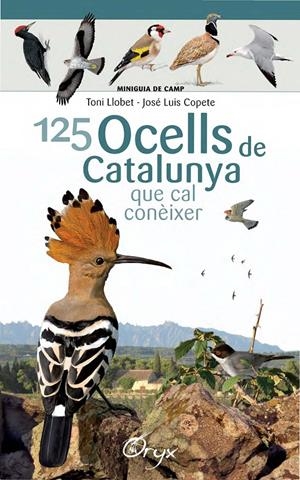 125 OCELLS DE CATALUNYA | 9788490346747 | LLOBET FRANÇOIS, TONI/COPETE, JOSÉ LUIS | Llibreria La Font de Mimir - Llibreria online Barcelona - Comprar llibres català i castellà