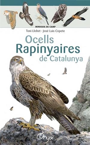 OCELLS RAPINYAIRES DE CATALUNYA | 9788490346785 | LLOBET FRANÇOIS, TONI/COPETE, JOSÉ LUIS | Llibreria La Font de Mimir - Llibreria online Barcelona - Comprar llibres català i castellà