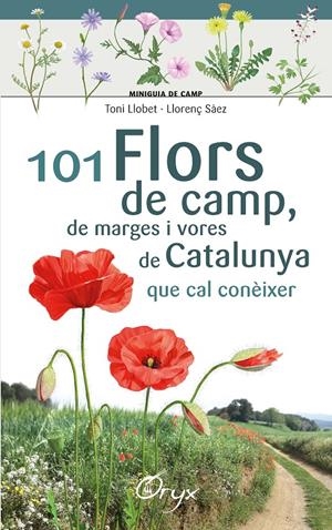 101 FLORS DE CAMP, DE MARGES I VORES DE CATALUNYA | 9788490348413 | LLOBET FRANÇOIS , TONI/SÀEZ GOÑALONS , LLORENÇ | Llibreria La Font de Mimir - Llibreria online Barcelona - Comprar llibres català i castellà
