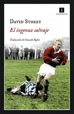 EL INGENUO SALVAJE | 9788417553364 | STOREY, DAVID | Llibreria La Font de Mimir - Llibreria online Barcelona - Comprar llibres català i castellà