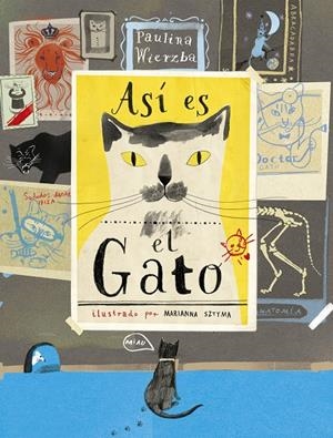 ASÍ ES EL GATO | 9788494992605 | WIERZBA, PAULINA | Llibreria La Font de Mimir - Llibreria online Barcelona - Comprar llibres català i castellà