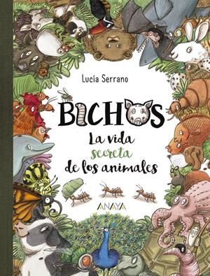 BICHOS | 9788469859018 | SERRANO, LUCÍA | Llibreria La Font de Mimir - Llibreria online Barcelona - Comprar llibres català i castellà