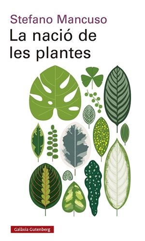 LA NACIÓ DE LES PLANTES | 9788417971564 | MANCUSO, STEFANO | Llibreria La Font de Mimir - Llibreria online Barcelona - Comprar llibres català i castellà