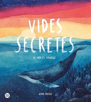 VIDES SECRETES | 9788491379638 | CAPDEVILA, GEMMA | Llibreria La Font de Mimir - Llibreria online Barcelona - Comprar llibres català i castellà