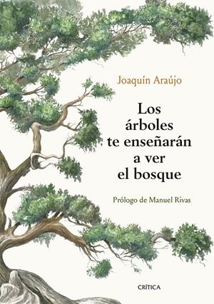 LOS ÁRBOLES TE ENSEÑARÁN A VER EL BOSQUE | 9788491992080 | ARAÚJO, JOAQUÍN | Llibreria La Font de Mimir - Llibreria online Barcelona - Comprar llibres català i castellà