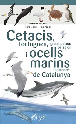 CETACIS, TORTUGUES, GRANS PEIXOS PELÀGICS I OCELLS MARINS DE CATALUNYA | 9788490349441 | LLOBET FRANÇOIS , TONI/ARCOS XX, PEP | Llibreria La Font de Mimir - Llibreria online Barcelona - Comprar llibres català i castellà