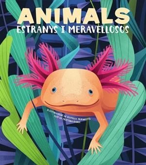 ANIMALS EXTRANYS I MERAVELLOSOS (VVKIDS) | 9788468270685 | BANFI, CRISTINA | Llibreria La Font de Mimir - Llibreria online Barcelona - Comprar llibres català i castellà