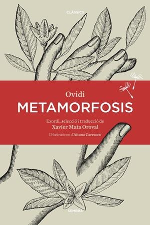 METAMORFOSIS | 9788416698387 | OVIDI | Llibreria La Font de Mimir - Llibreria online Barcelona - Comprar llibres català i castellà