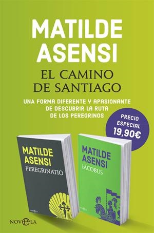 EL CAMINO DE SANTIAGO | 9788491648680 | ASENSI, MATILDE | Llibreria La Font de Mimir - Llibreria online Barcelona - Comprar llibres català i castellà