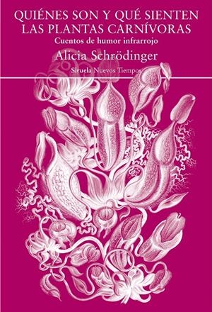 QUIÉNES SON Y QUÉ SIENTEN LAS PLANTAS CARNÍVORAS | 9788418245534 | SCHRÖDINGER, ALICIA | Llibreria La Font de Mimir - Llibreria online Barcelona - Comprar llibres català i castellà