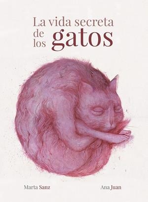 LA VIDA SECRETA DE LOS GATOS | 9788417858988 | JUAN, ANA/SANZ, MARTA | Llibreria La Font de Mimir - Llibreria online Barcelona - Comprar llibres català i castellà