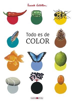TODO ES DE COLOR | 9788417708818 | ESTELLON, PASCALE | Llibreria La Font de Mimir - Llibreria online Barcelona - Comprar llibres català i castellà