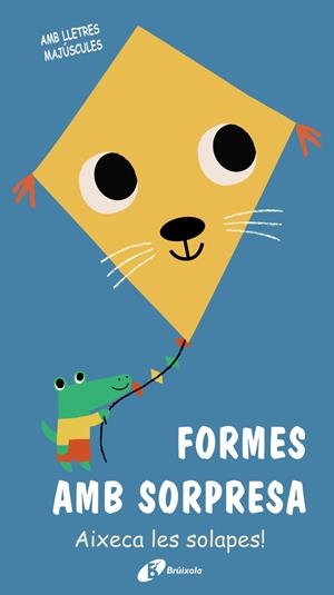 FORMES AMB SORPRESA | 9788499063690 | VARIOS AUTORES | Llibreria La Font de Mimir - Llibreria online Barcelona - Comprar llibres català i castellà